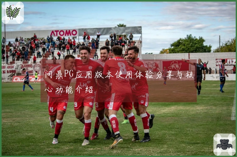 问鼎PG应用版本使用体验分享与核心功能介绍