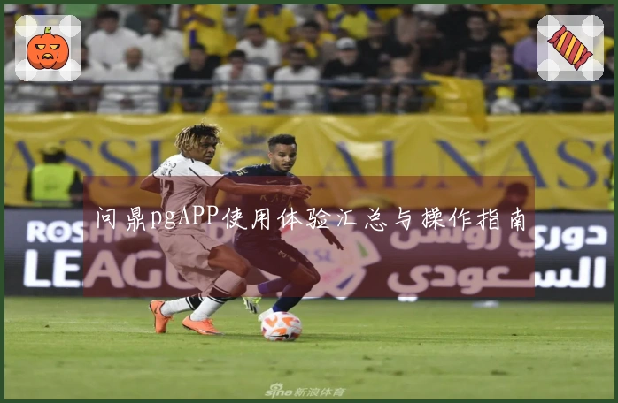 问鼎pgAPP使用体验汇总与操作指南