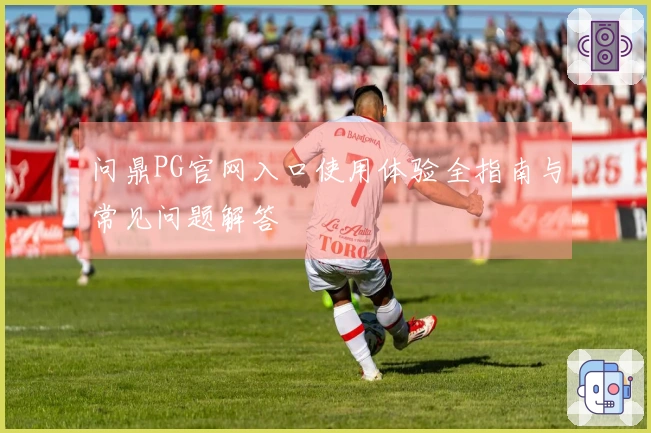 问鼎PG官网入口使用体验全指南与常见问题解答